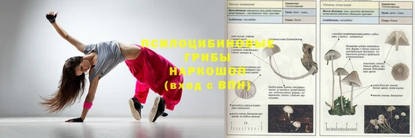 не бодяженный Гусев