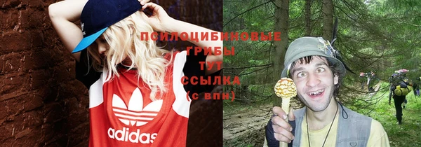 не бодяженный Гусев