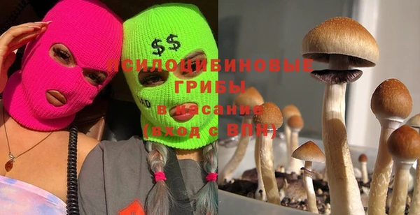не бодяженный Гусев